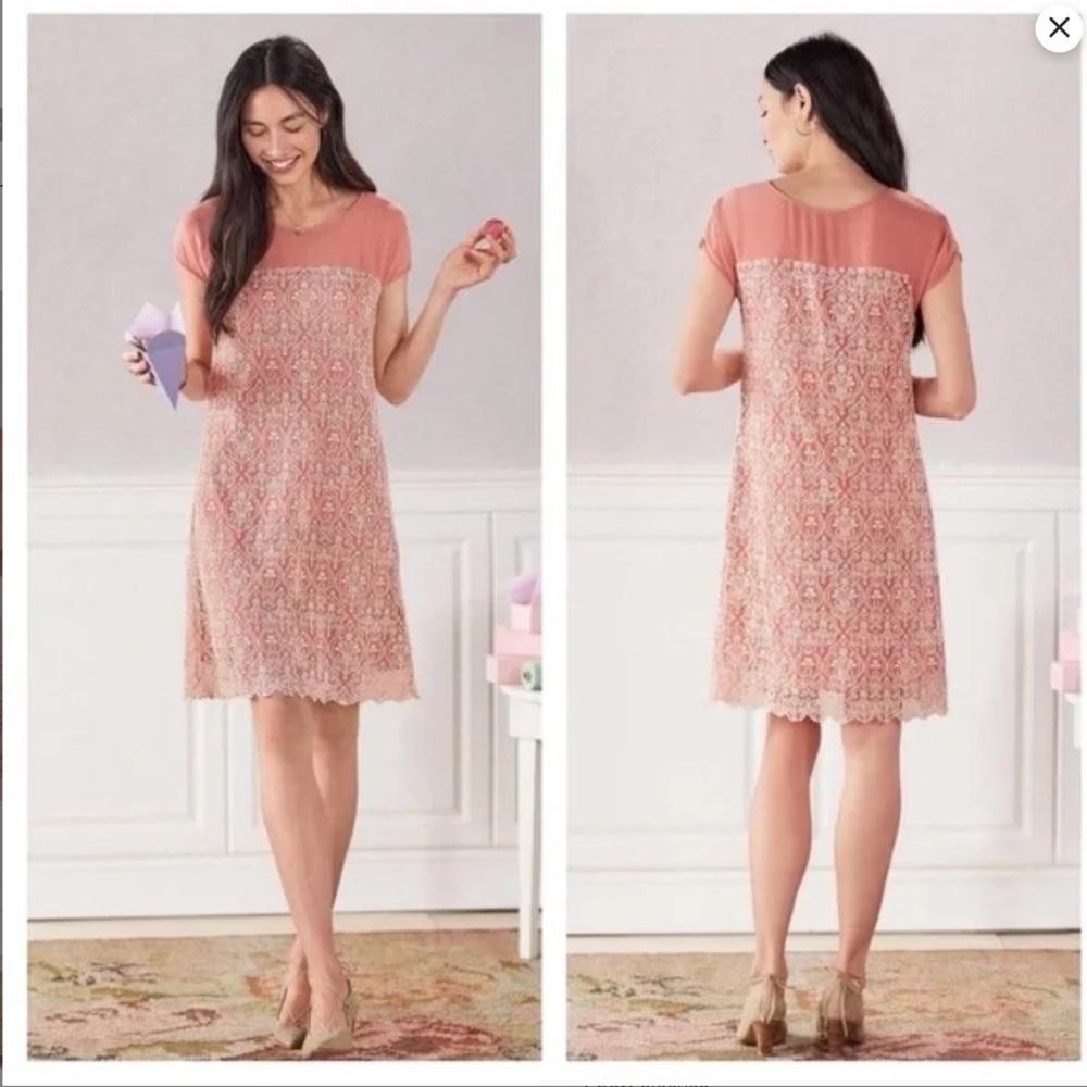 Lace Overlay Cap-Sleeve Dress in Dusty Rose
